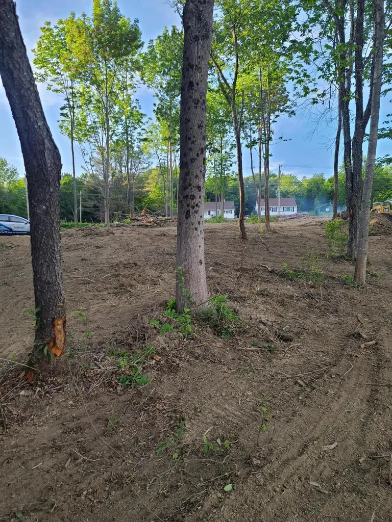 Lot 46 Birch Lane Searsport ME 04974