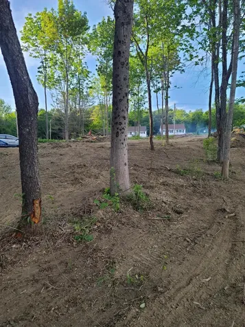 Lot 46 Birch Lane Searsport ME 04974