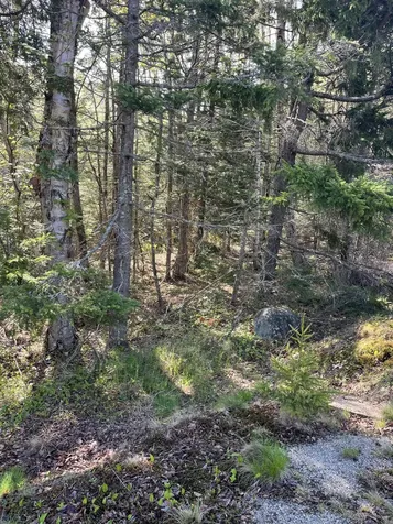Lot 14 West Bay Road Gouldsboro ME 04607
