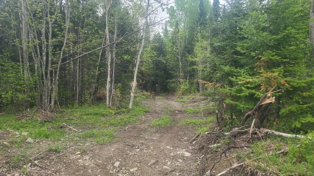26/28/33/4 Aroostook Road Portage Lake ME 04768