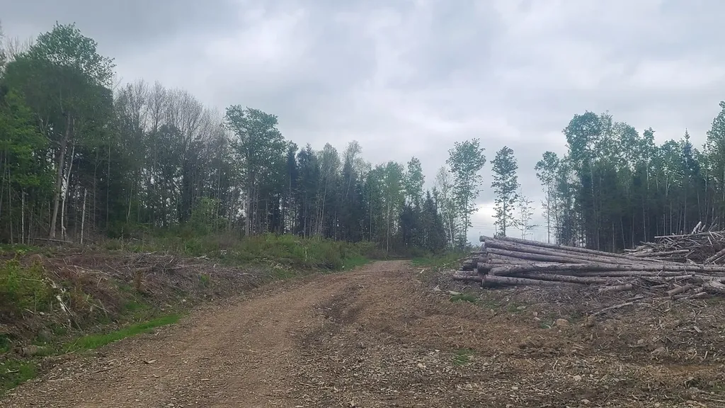 26/28/33/4 Aroostook Road Portage Lake ME 04768