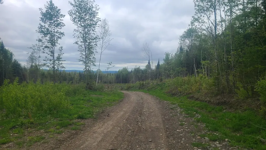 26/28/33/4 Aroostook Road Portage Lake ME 04768