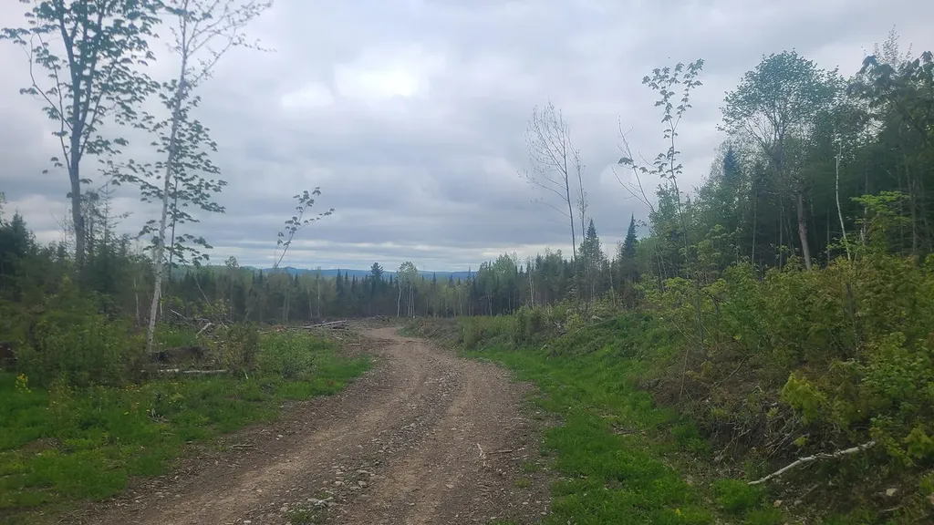 26/28/33/4 Aroostook Road Portage Lake ME 04768