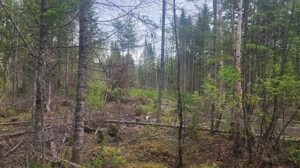 26/28/33/4 Aroostook Road Portage Lake ME 04768