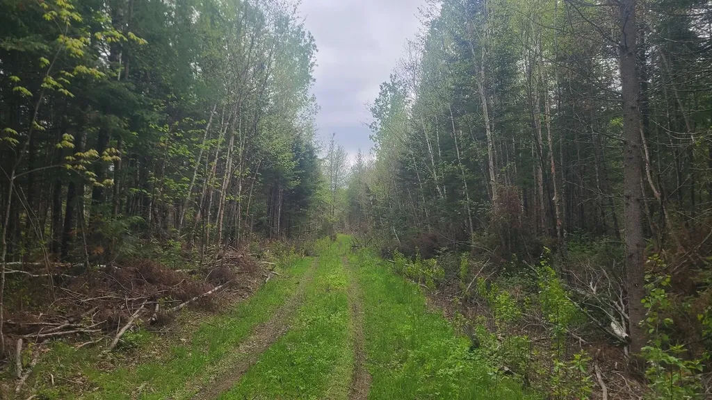 26/28/33/4 Aroostook Road Portage Lake ME 04768