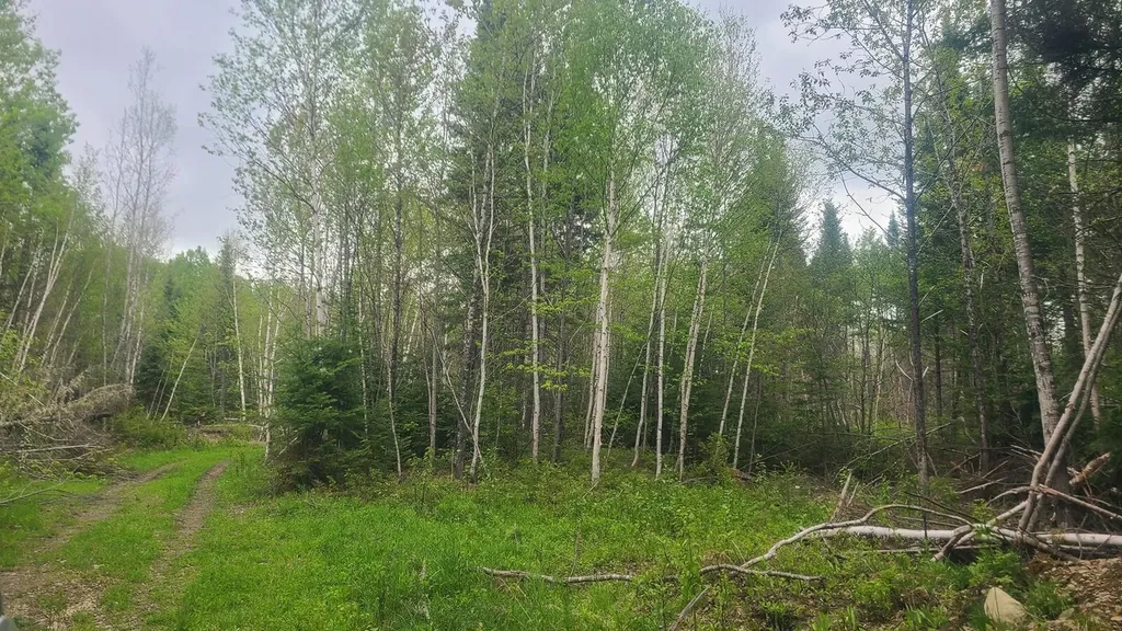 26/28/33/4 Aroostook Road Portage Lake ME 04768