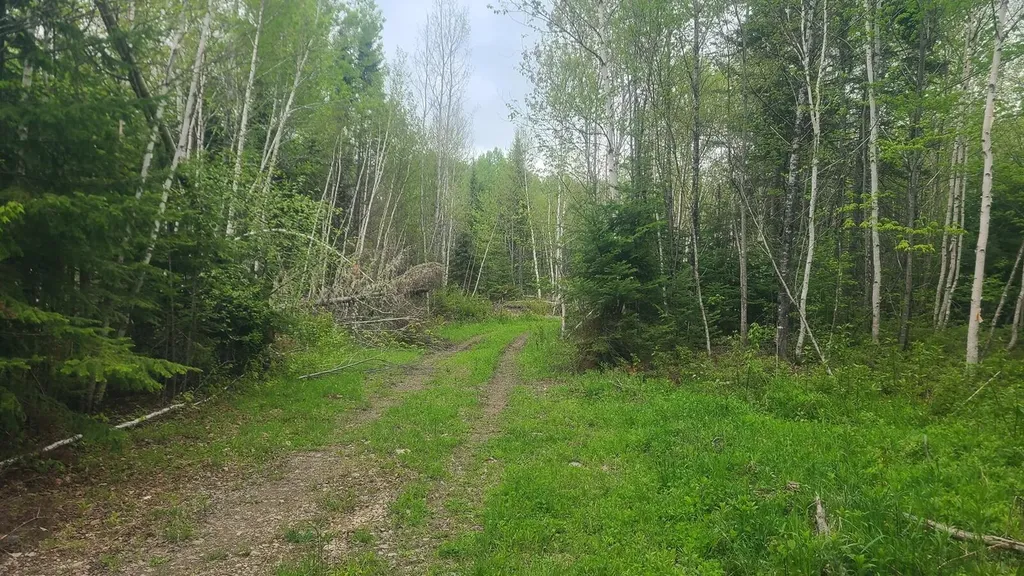 26/28/33/4 Aroostook Road Portage Lake ME 04768
