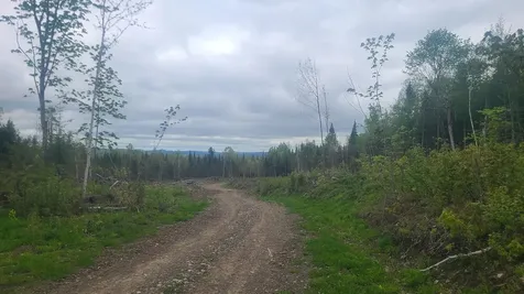 26/28/33/4 Aroostook Road Portage Lake ME 04768