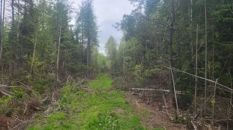26/28/33/4 Aroostook Road Portage Lake ME 04768