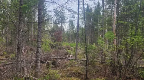 26/28/33/4 Aroostook Road Portage Lake ME 04768