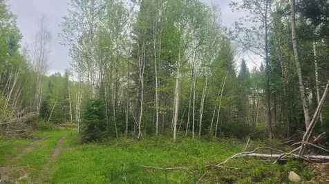26/28/33/4 Aroostook Road Portage Lake ME 04768