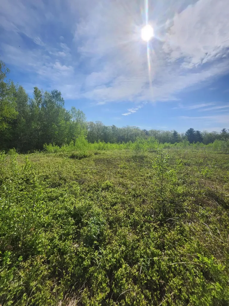 0 430 Bell Hill Road Otisfield ME 04270