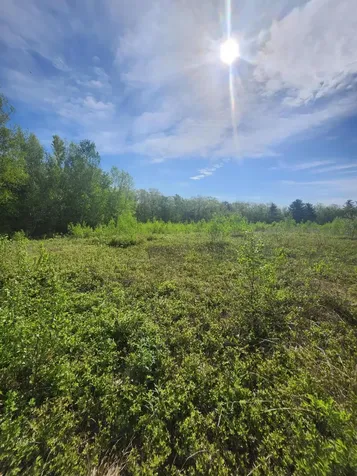 0 430 Bell Hill Road Otisfield ME 04270