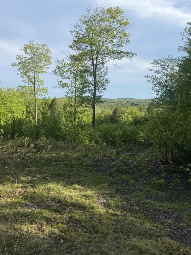 Lot 9 Mcdaniels Road Waterford ME 04088