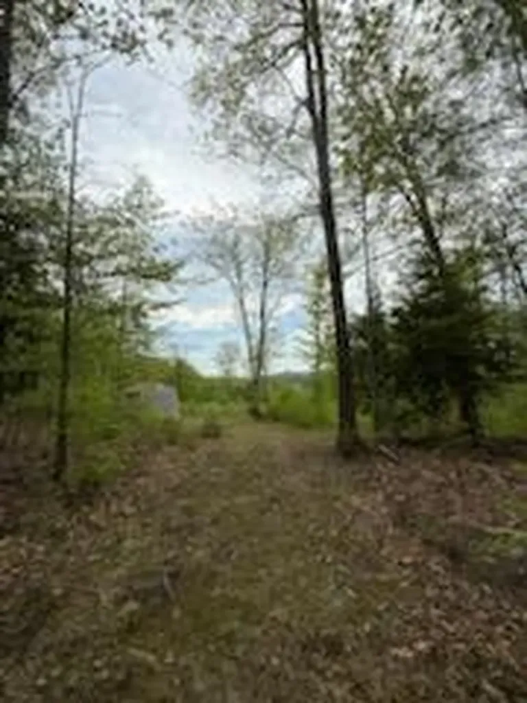 Lot 9 Mcdaniels Road Waterford ME 04088