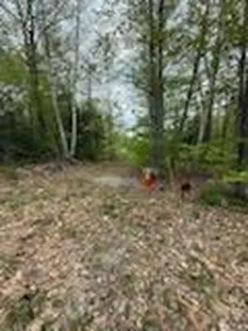 Lot 9 Mcdaniels Road Waterford ME 04088