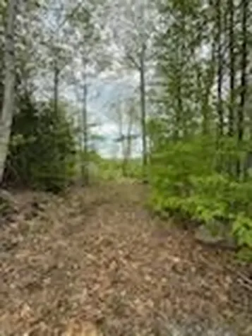 Lot 9 Mcdaniels Road Waterford ME 04088