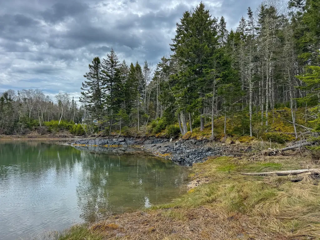 Lot 46 Yoho Head Road Machiasport ME 04655