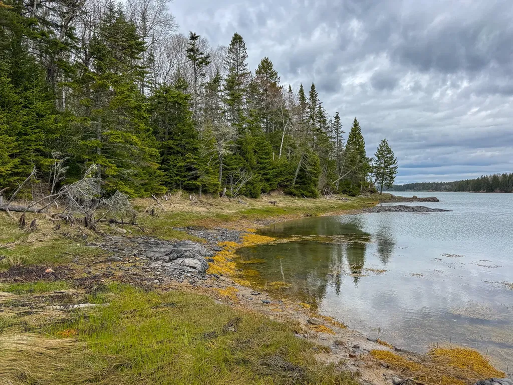 Lot 46 Yoho Head Road Machiasport ME 04655