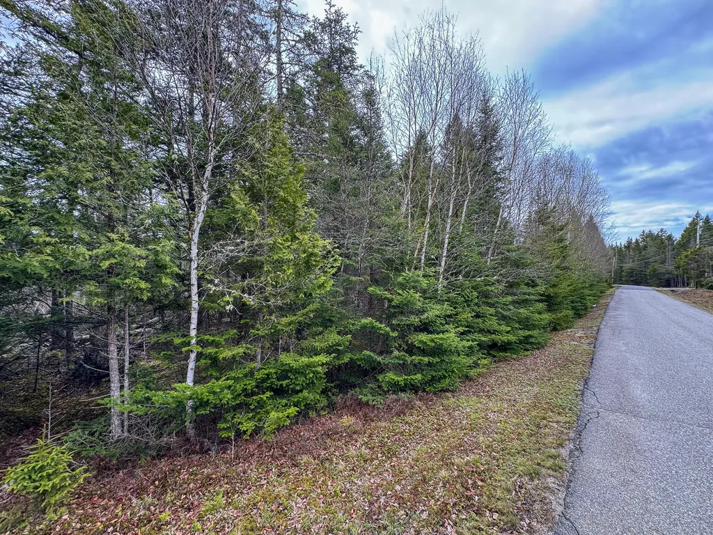 Lot 46 Yoho Head Road Machiasport ME 04655
