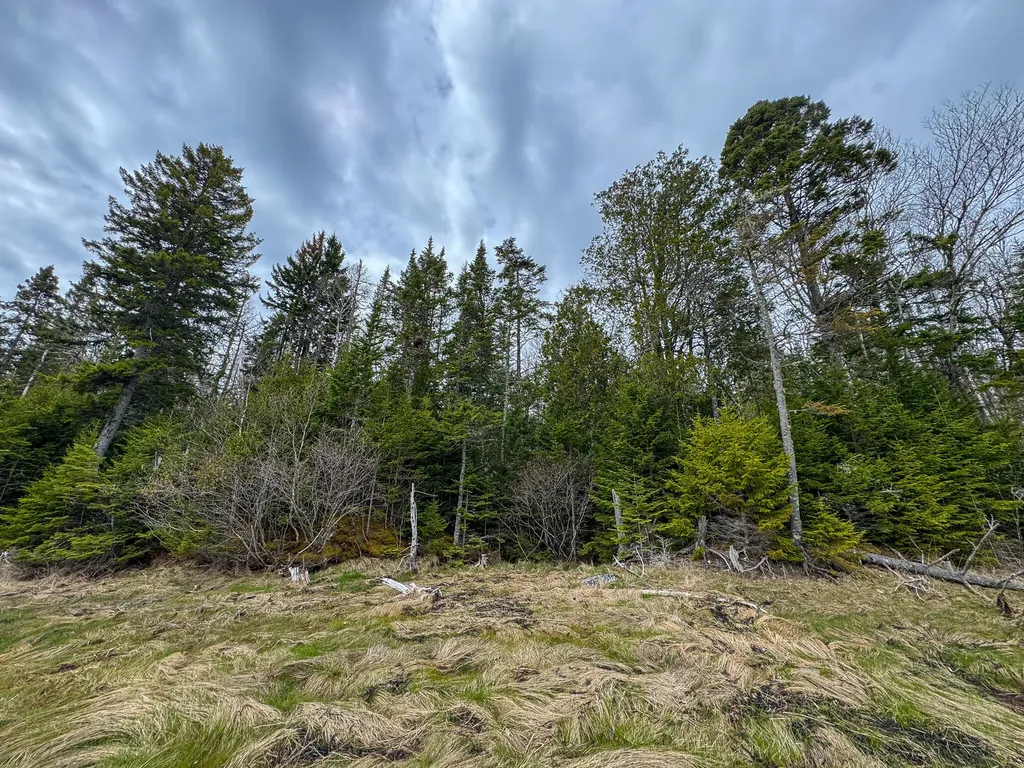 Lot 46 Yoho Head Road Machiasport ME 04655