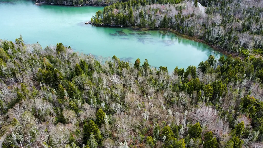 Lot 46 Yoho Head Road Machiasport ME 04655