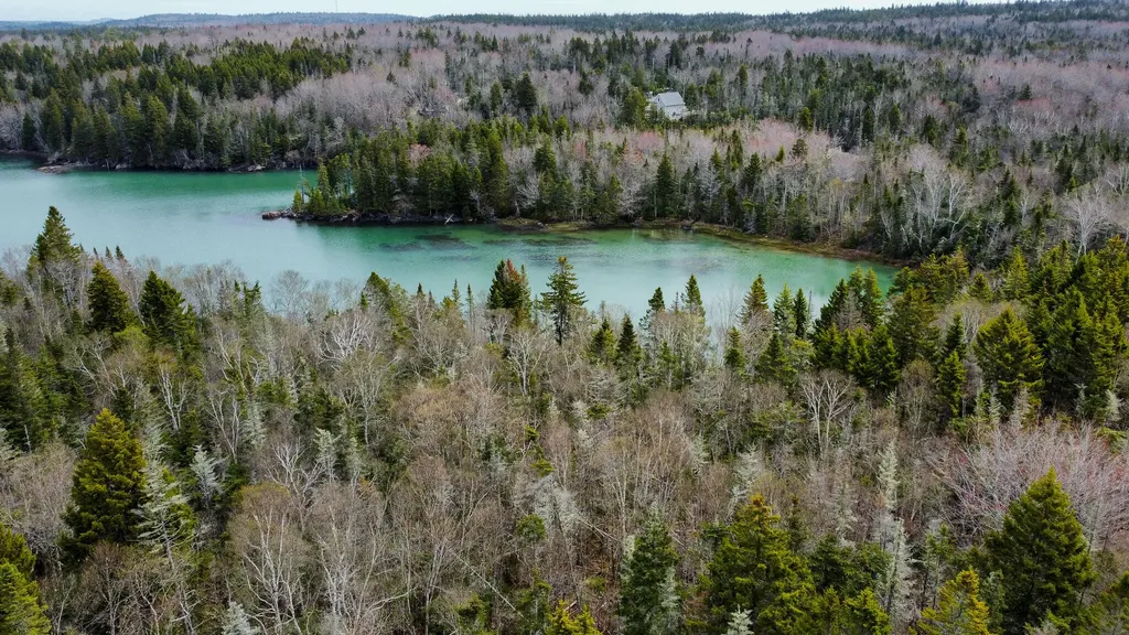 Lot 46 Yoho Head Road Machiasport ME 04655