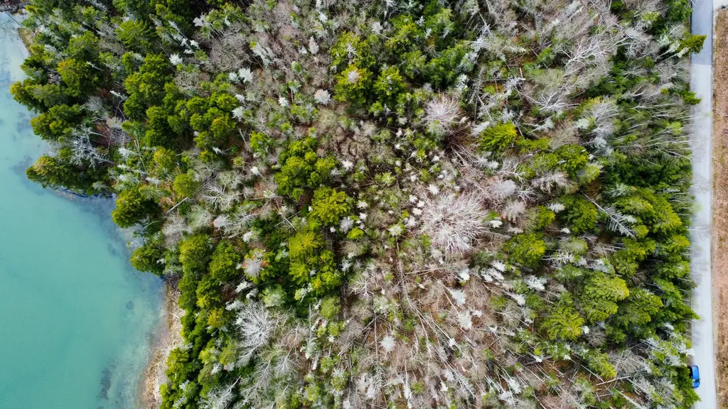 Lot 46 Yoho Head Road Machiasport ME 04655