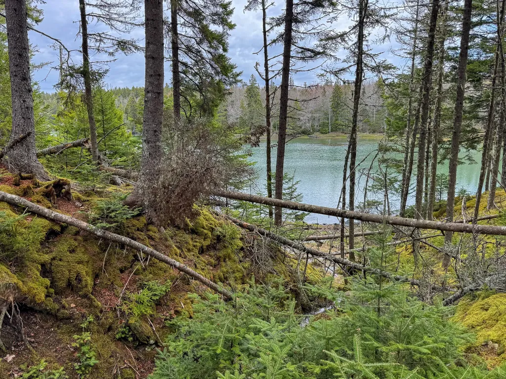 Lot 46 Yoho Head Road Machiasport ME 04655