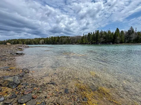 Lot 46 Yoho Head Road Machiasport ME 04655