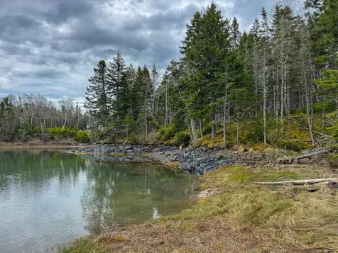 Lot 46 Yoho Head Road Machiasport ME 04655