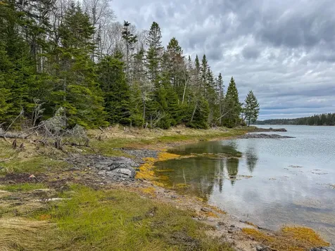 Lot 46 Yoho Head Road Machiasport ME 04655