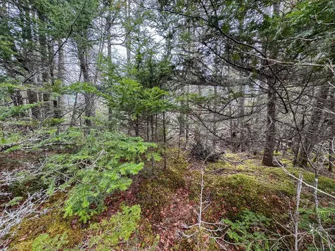 Lot 46 Yoho Head Road Machiasport ME 04655