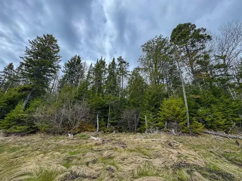 Lot 46 Yoho Head Road Machiasport ME 04655