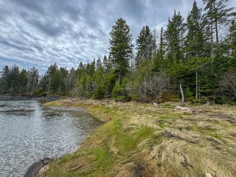 Lot 46 Yoho Head Road Machiasport ME 04655