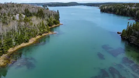 Lot 46 Yoho Head Road Machiasport ME 04655