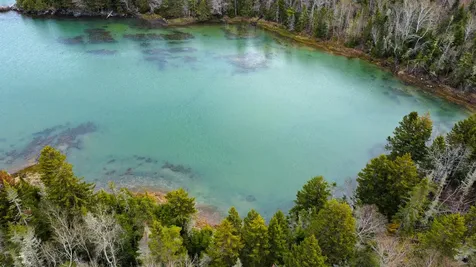 Lot 46 Yoho Head Road Machiasport ME 04655