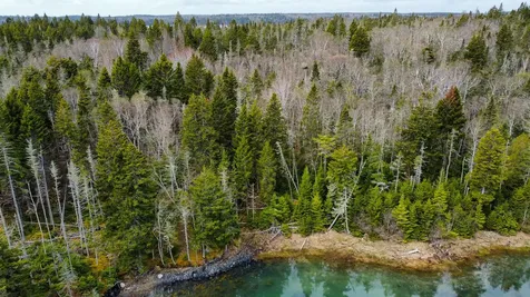 Lot 46 Yoho Head Road Machiasport ME 04655