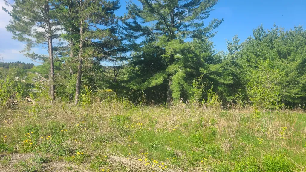 58 Pondview Street Limestone ME 04750