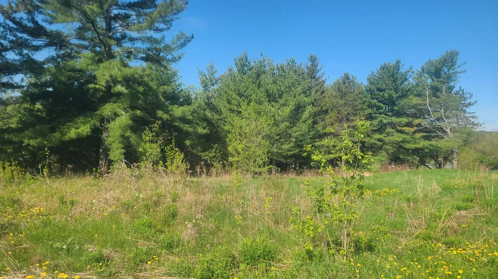 58 Pondview Street Limestone ME 04750