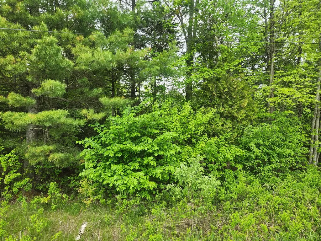 M5-L25-13 Union Street Levant ME 04456