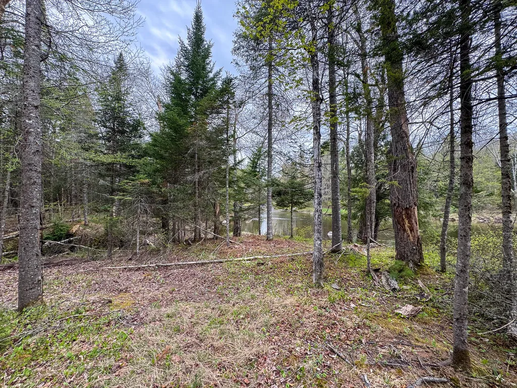 M5L59 Off Monument Road Abbot ME 04406