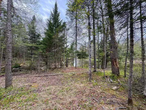 M5L59 Off Monument Road Abbot ME 04406