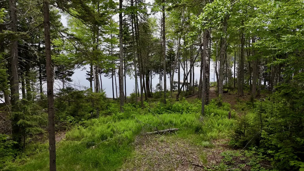 Lot 3 Mountain View Road Big Moose Twp ME 04441