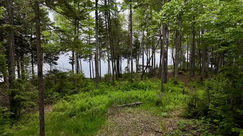 Lot 3 Mountain View Road Big Moose Twp ME 04441