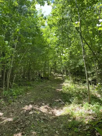 0 Poppy Lane Carthage ME 04224