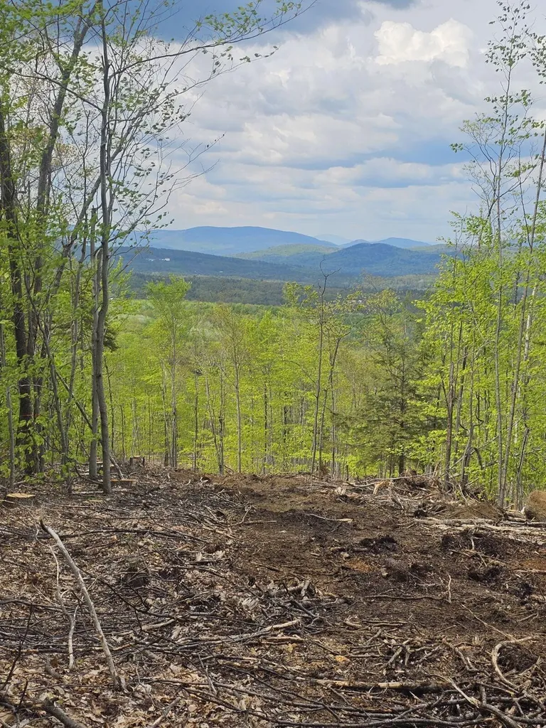 40.9 Streaked Mountain Road Hartford ME 04220
