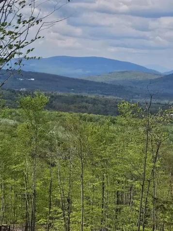 40.9 Streaked Mountain Road Hartford ME 04220