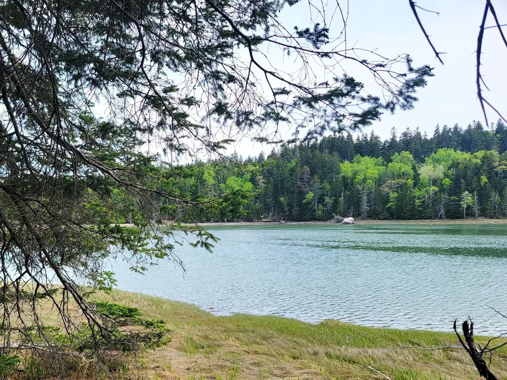 Lot # 72 Oceanville Road Stonington ME 04681