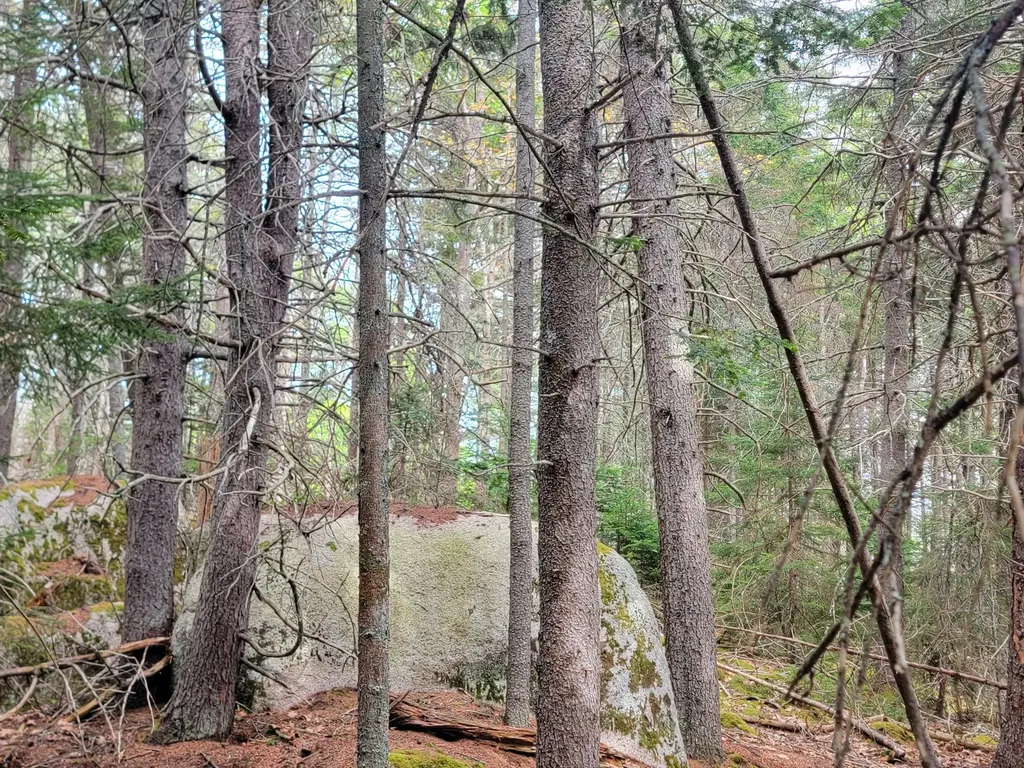 Lot # 72 Oceanville Road Stonington ME 04681